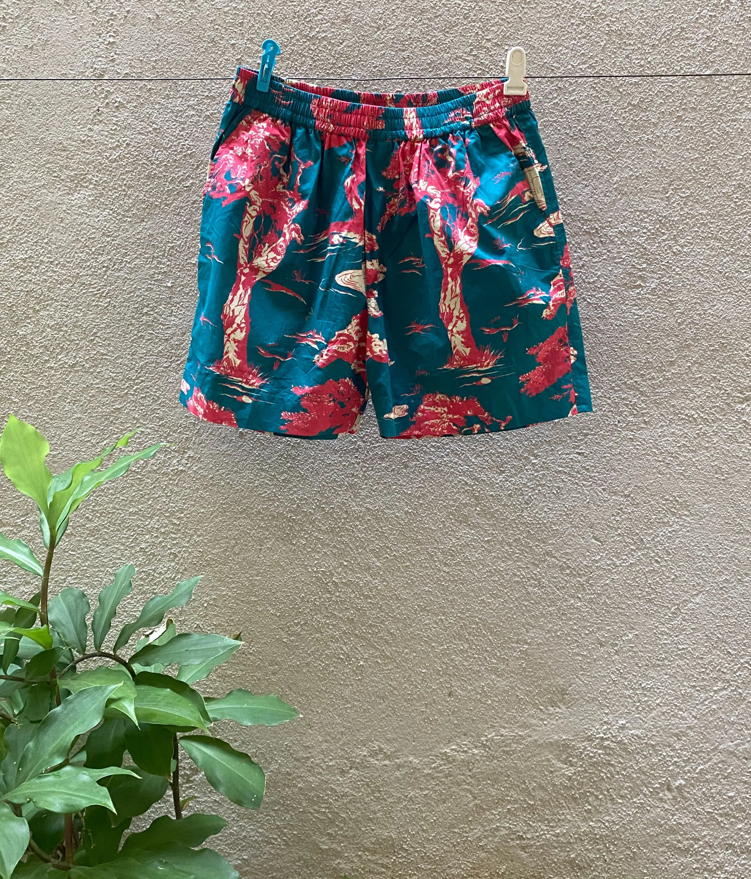 Rainforest Shorts (Green)
